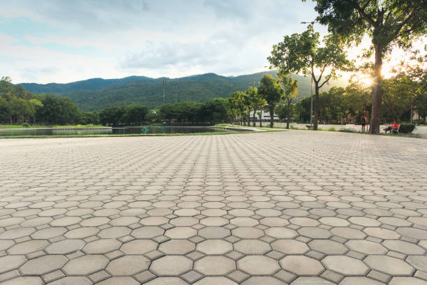 Best Local Driveway Pavers  in Mountain View, NC