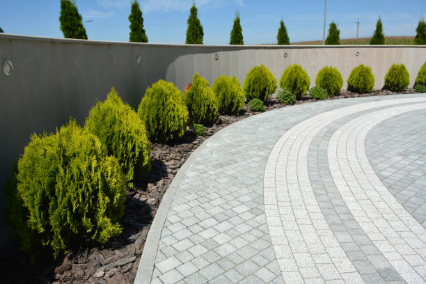 Best Driveway Paving Contractor  in Mountain View, NC